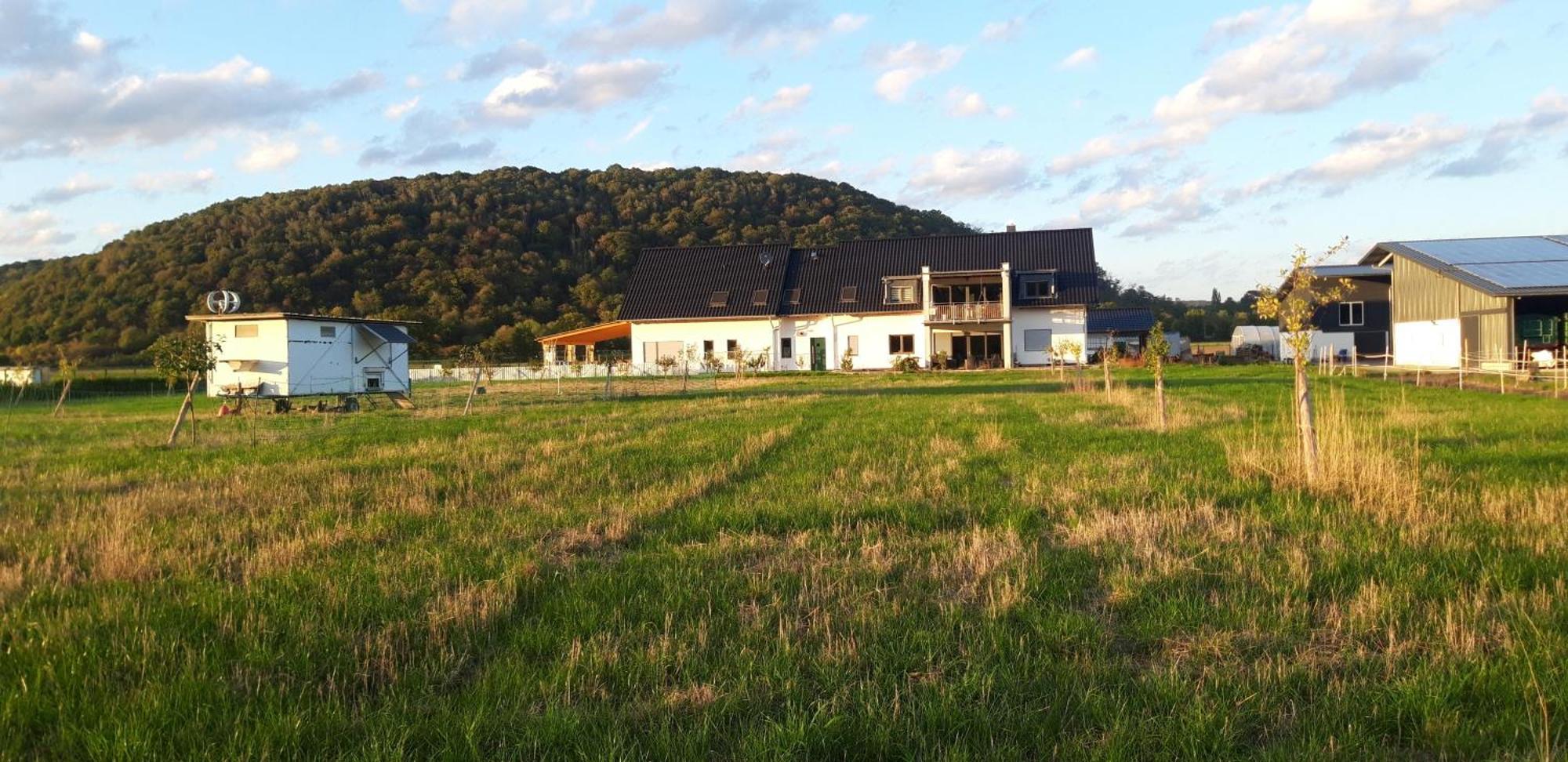 Ferienwohnung Wilhelmshof Sinzig Dış mekan fotoğraf